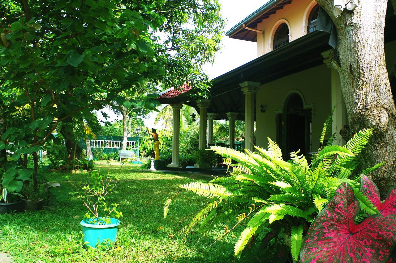 Villa Eco Green Νεγκόμπο Εξωτερικό φωτογραφία