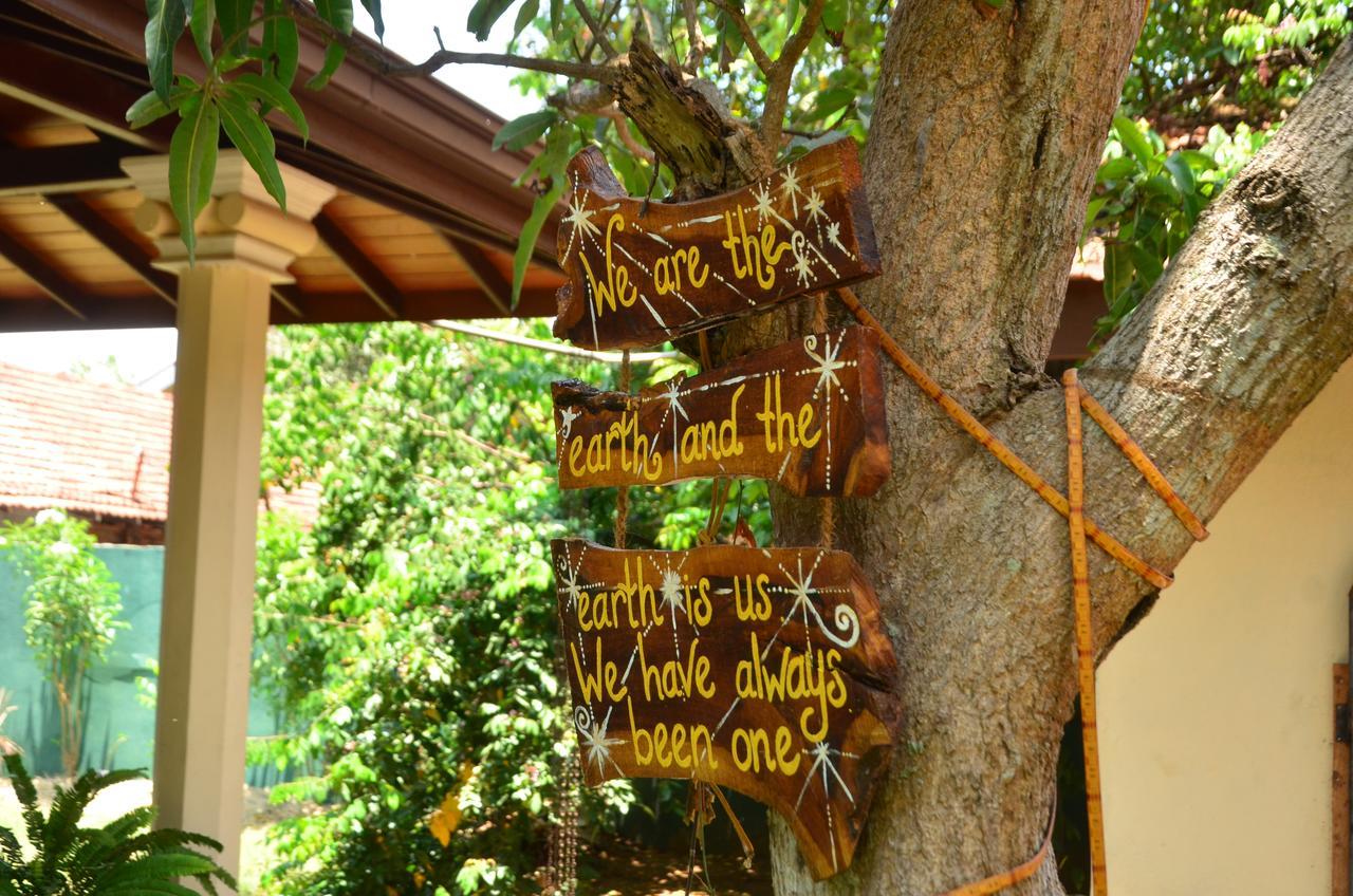 Villa Eco Green Νεγκόμπο Εξωτερικό φωτογραφία